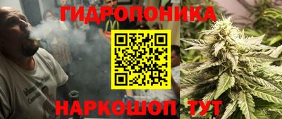 индика Ставрополь