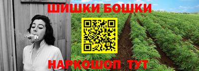 индика Ставрополь
