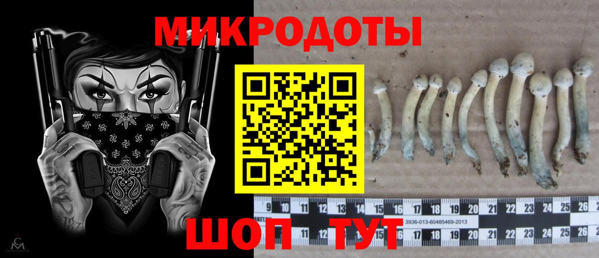 Псилоцибиновые грибы мухоморы Обь